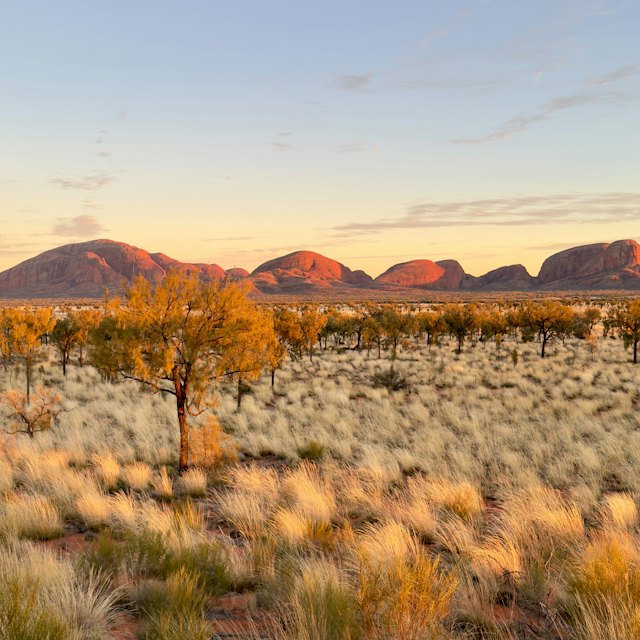 Qué ver en australia: atardecer dorado sobre el interior de Australia con montañas a lo lejos