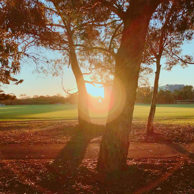 Vivir en adelaida: atardecer sobre el paisaje del sur de Australia